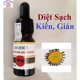 Diệt côn trùng dạng nước và tinh dầu